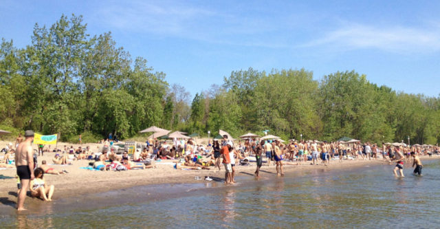 ward-island