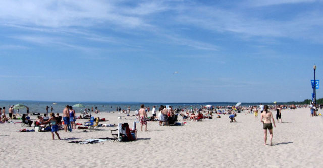 wasaga